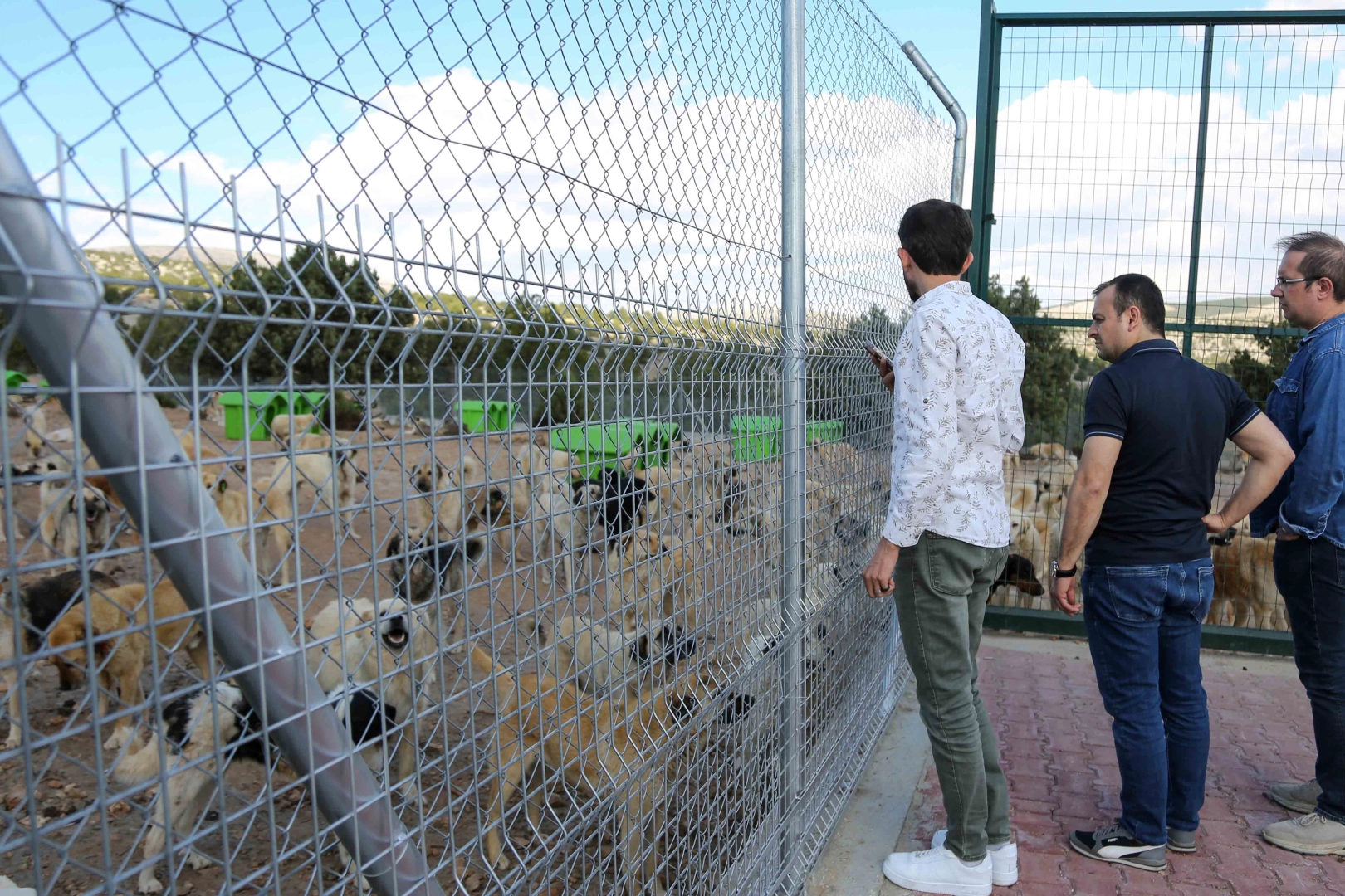 Konya Meram sahipsiz hayvan doğal yaşam alanı Türkiye’ye örnek oldu