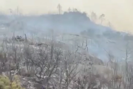 Bursa Büyükşehir yangınlarda son durumu bildirdi