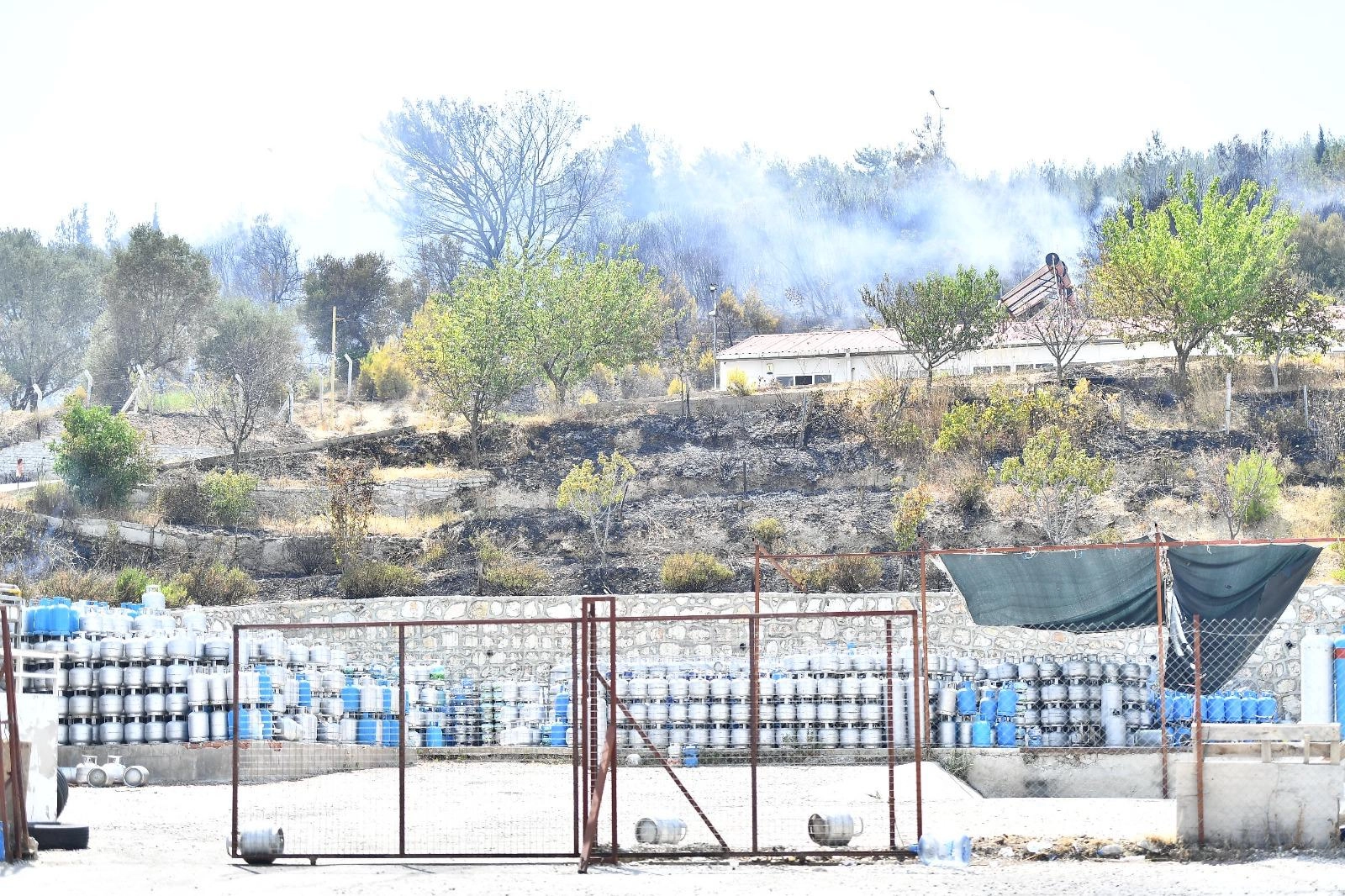 İzmir’in iki ilçesinde yangınlar kontrol altında