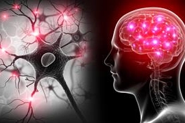 Yapay zekâ ve EEG ile otizm ve dislekside erken teşhis umudu